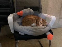 -逃脱反斗城沉浸剧情密室(北京路店)