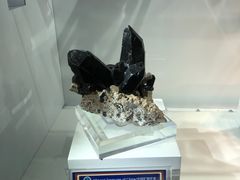 -中国地质大学逸夫博物馆