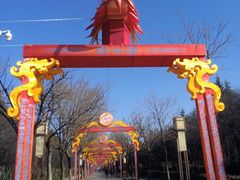 -洛阳市隋唐城遗址植物园