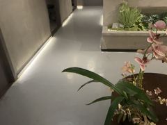 -施奈儿.洗头頭療.按摩SPA.采耳(上梅林店)