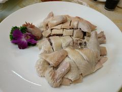 心点香葵鸡-心点盛宴江南西店