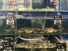 -小船渔村•大连菜•大连焖鱼(明泽街店)
