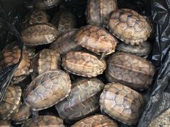 -苏州河梦清园环保主题公园