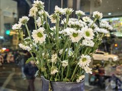 -囿面传统制面馆(中央路店)