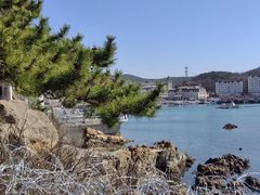 -大连老虎滩海洋公园