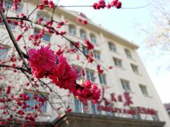 -天津五大道文化旅游区