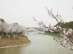 -上海海湾国家森林公园