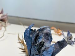 -宝龙艺术中心(七宝宝龙城店)