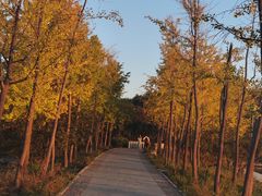 -石家庄市植物园