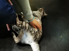 -Doors独立剧情密室(东门分店)