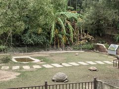 -广东惠东海龟国家级自然保护区