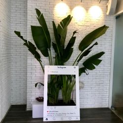 店内环境-V Beautique妆颜美学体验馆