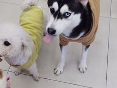 -怪兽屋·羊驼·猫咖·狗咖(俊华广场店)