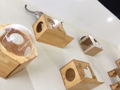 -藏猫猫咖啡主题馆(中央大道店)