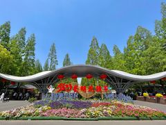 -东平国家森林公园