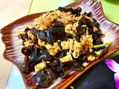 醋溜苜蓿-大眼锅贴水饺(河东店)