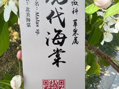 -元大都城垣遗址公园