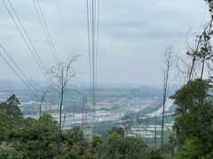 -滴水岩森林公园