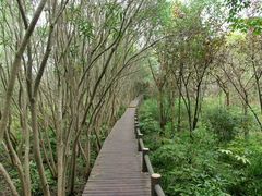 -新江湾城公园