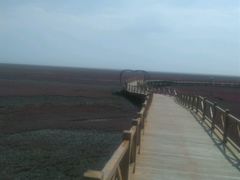 -红海滩国家风景廊道