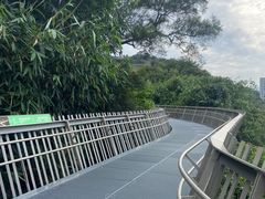 -福道