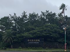 -济州岛泰迪熊博物馆