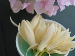 -长广溪湿地公园