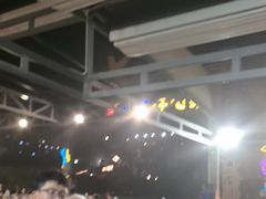 -渔家火锅·海鲜自助餐·演艺(亚龙湾天域酒店)