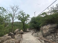 -白水寺森林公园