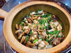 白鳝黄鳝双拼-红星光发煲仔饭(文海店)
