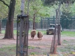 -秦皇岛野生动物园