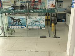 -玖佳宠物医院·泌尿·骨科·中老年病