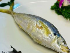 巴浪鱼饭-郑厨私房菜