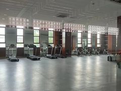 -临港奉贤体育中心