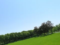 -宜兴龙背山森林公园