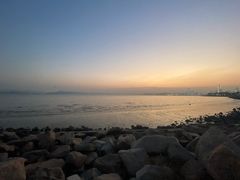 -深圳湾公园(南山区)