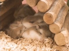 -龙猫仔乐园(惠福东路店)