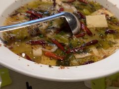 -九毛九西北菜(百信广场店)