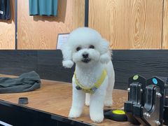 -AMRAP综合体能训练