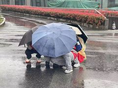 -上海月湖雕塑公园