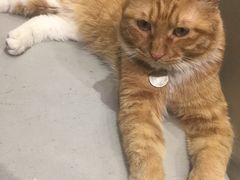 -小时光咖啡馆(开森度假森林店)