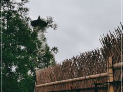 -火火咖啡&茶空间