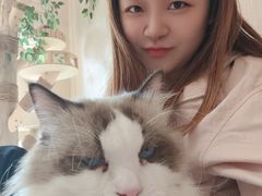 -唐小姐の私宠·宠物洗护美容·撸猫馆·购宠(周浦万达旗舰店)