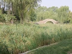 -北坞公园