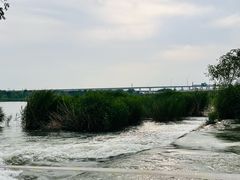-绿堤公园