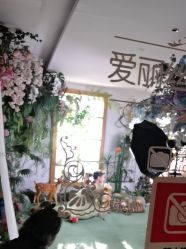 -爱儿美儿童摄影(五路居花园别墅店)