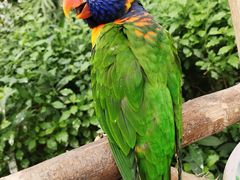 -南宫五洲植物乐园