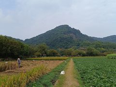 -八卦田遗址公园