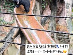 -长鹿旅游休博园