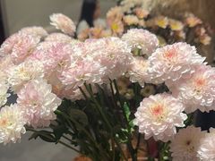 -人间采蜜(海信广场店)